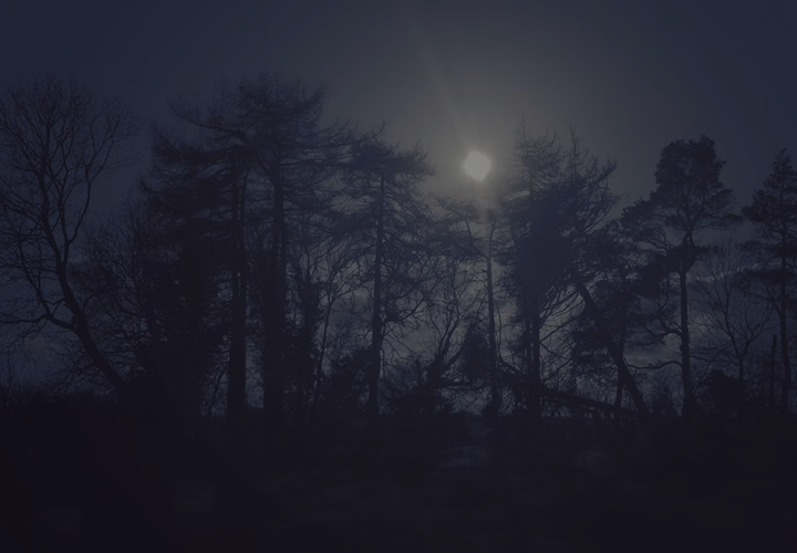 Night Wolf #9 Now Available!